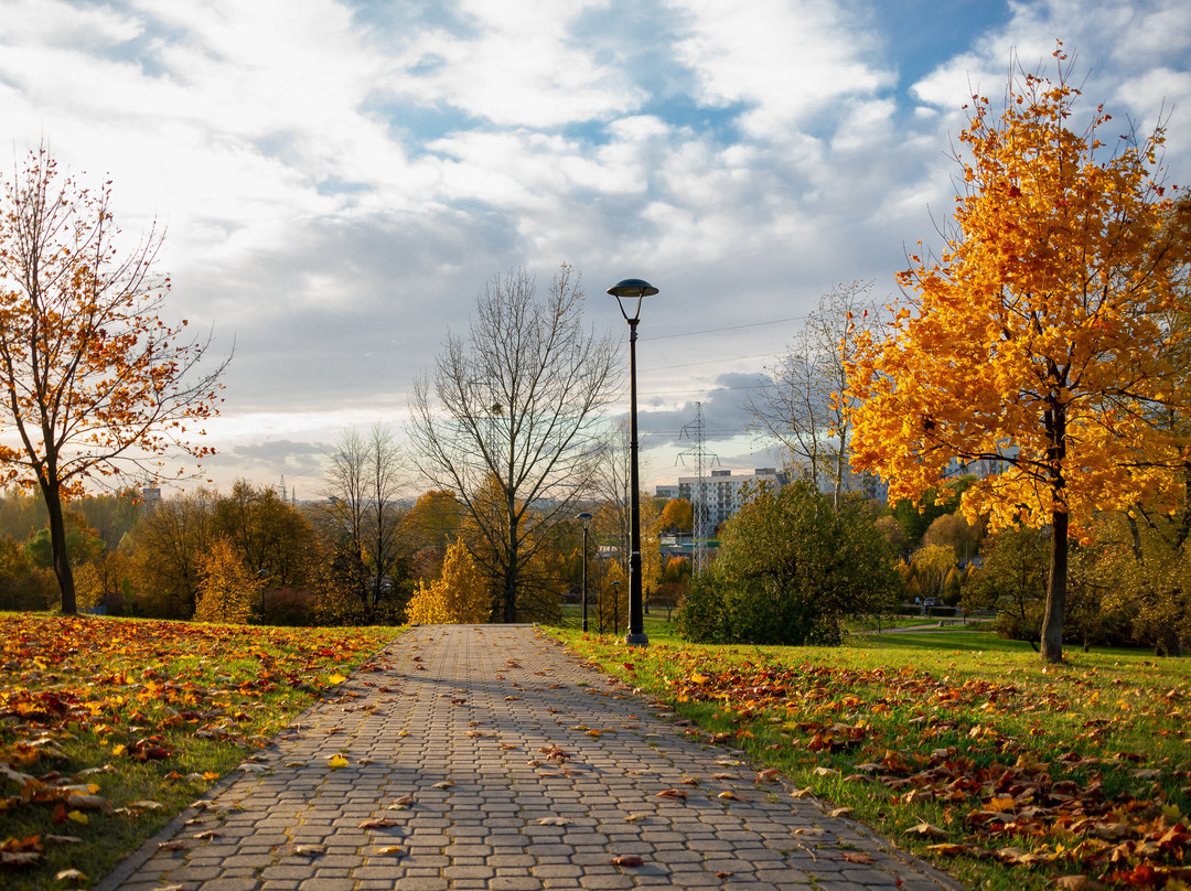Środula Park景点图片