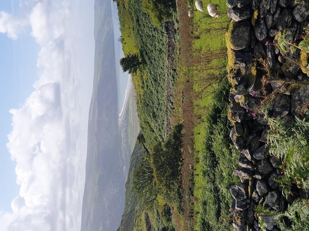 Panorama Walk景点图片
