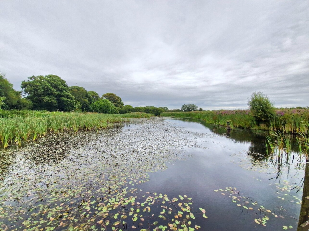 RSPB Campfield Marsh Nature Reserve景点图片