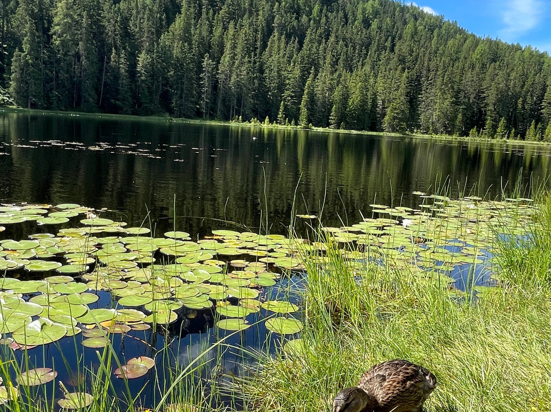 Schwarzer See-闹达斯必去景点