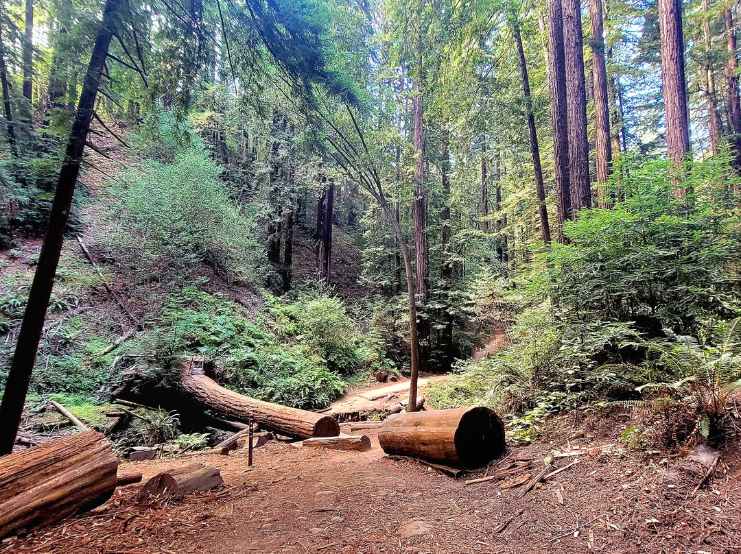 Roberts Regional Recreation Area-奥克兰必去景点