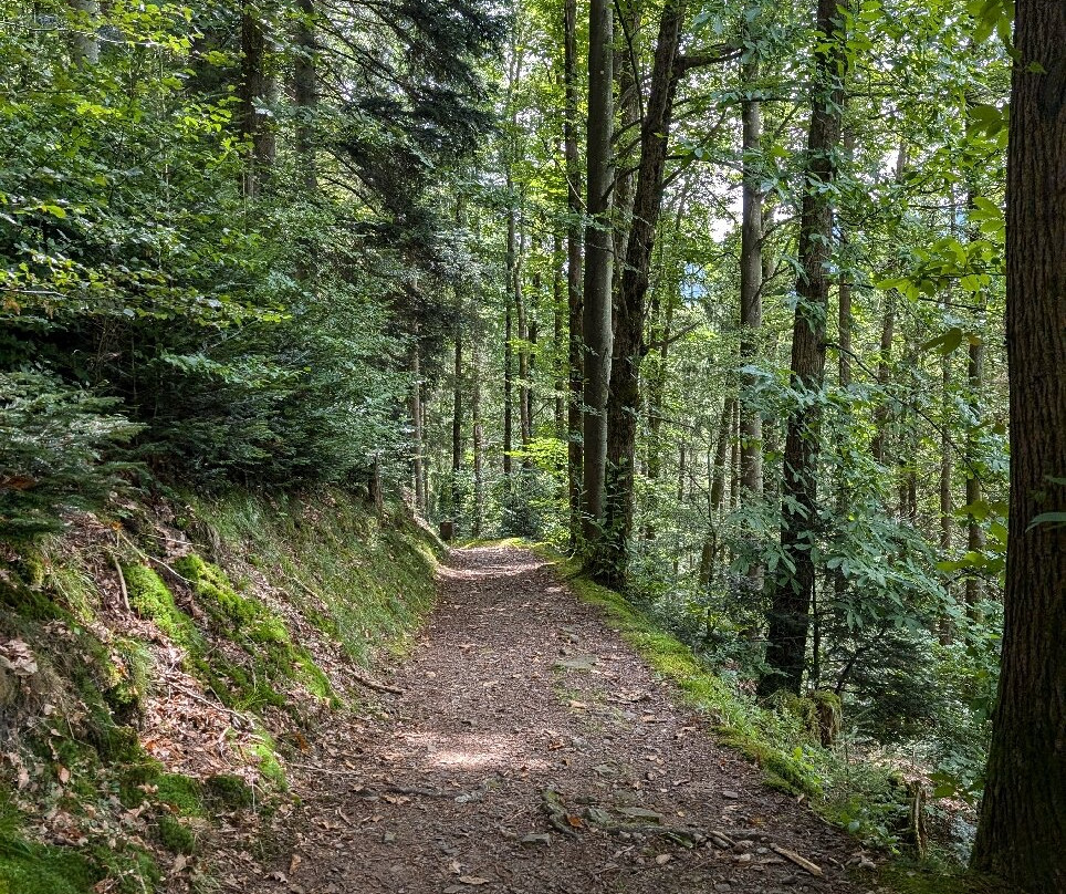 Himmelssteig-Bad Peterstal-Griesbach必去景点