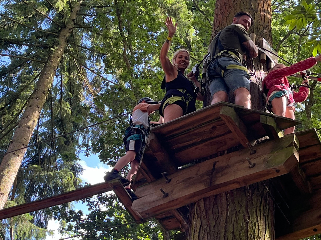 Go Ape Thetford景点图片