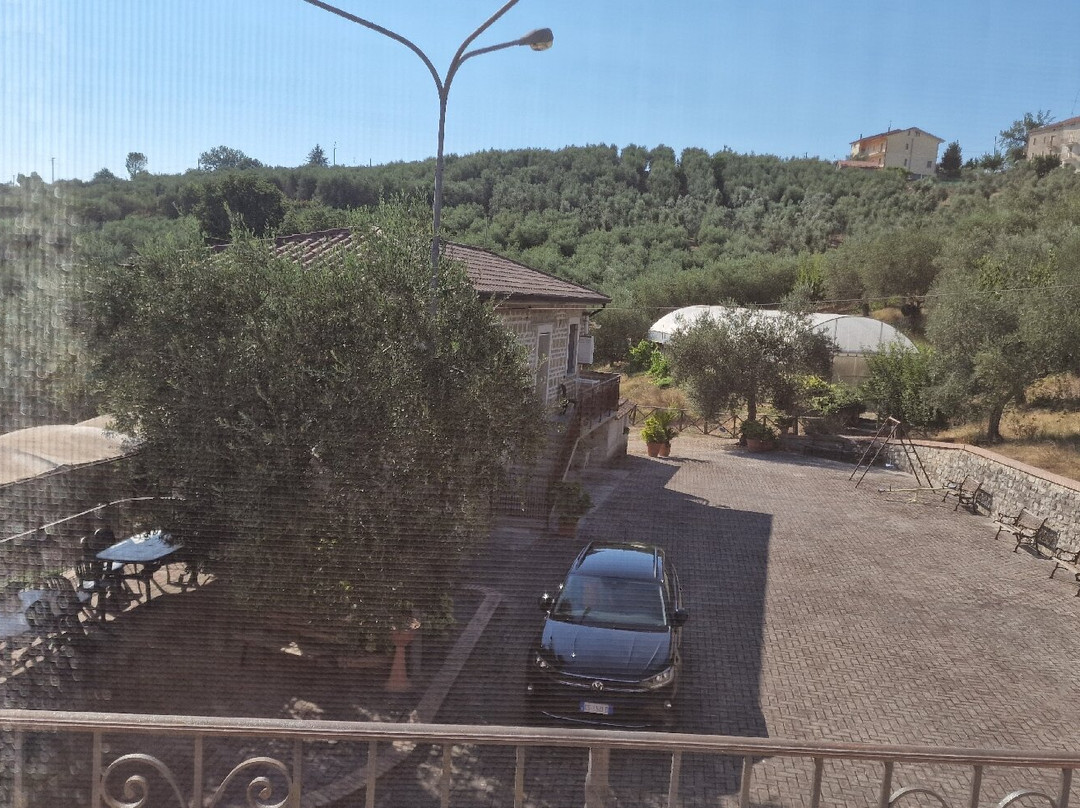 Agriturismo Casale degli Ulivi主图