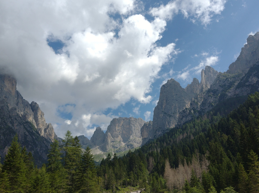 Rifugio Treviso - Canali主图