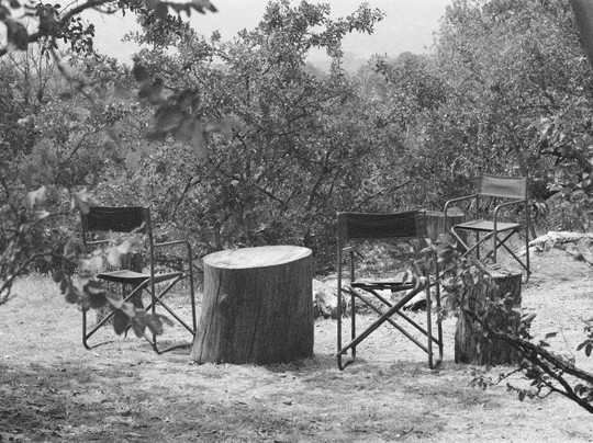 Primates Adventure-DMC-Ruhengeri必去景点