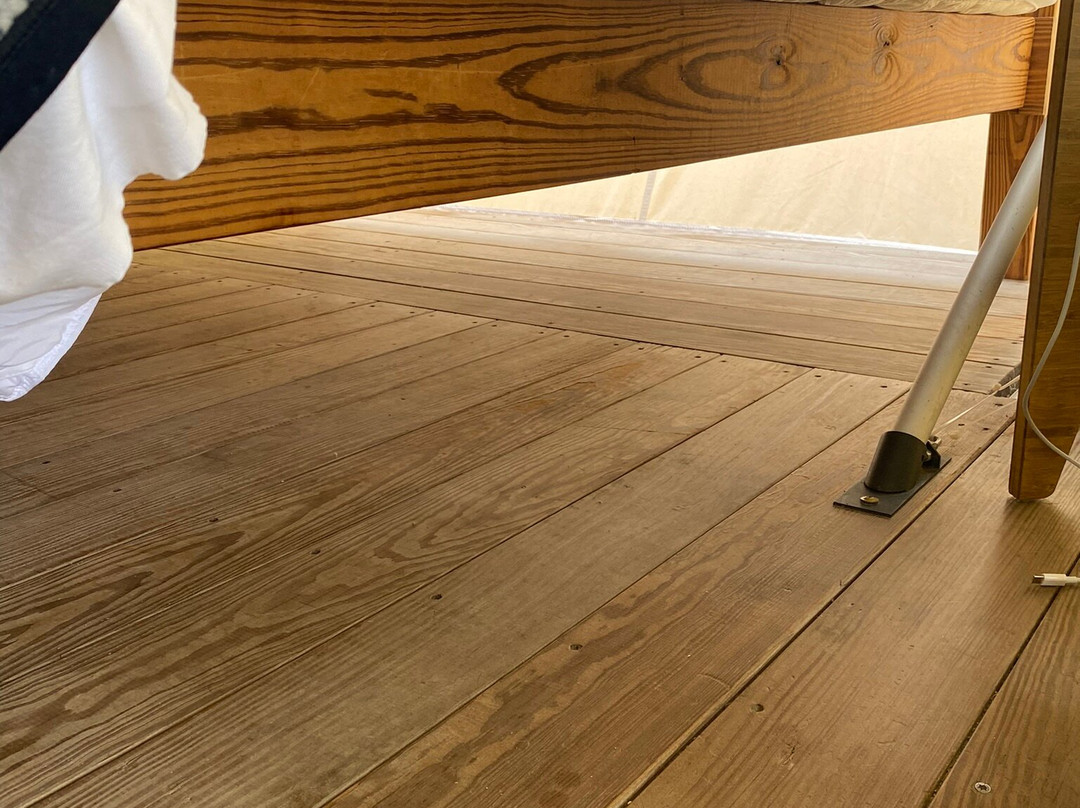 Under Canvas Acadia主图