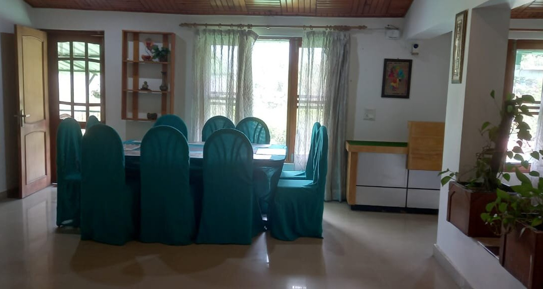 Experto The Greens主图