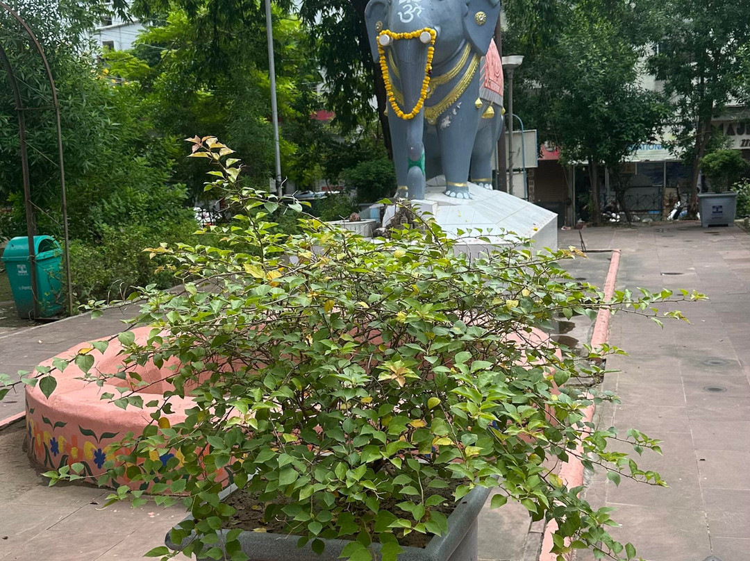 Surya Mandir景点图片