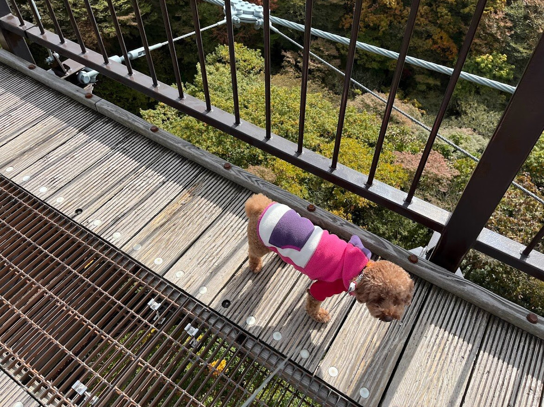 Tsutsuji Suspension Bridge-那须郡必去景点