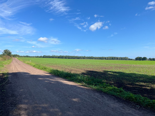 Hotell Bellevue主图