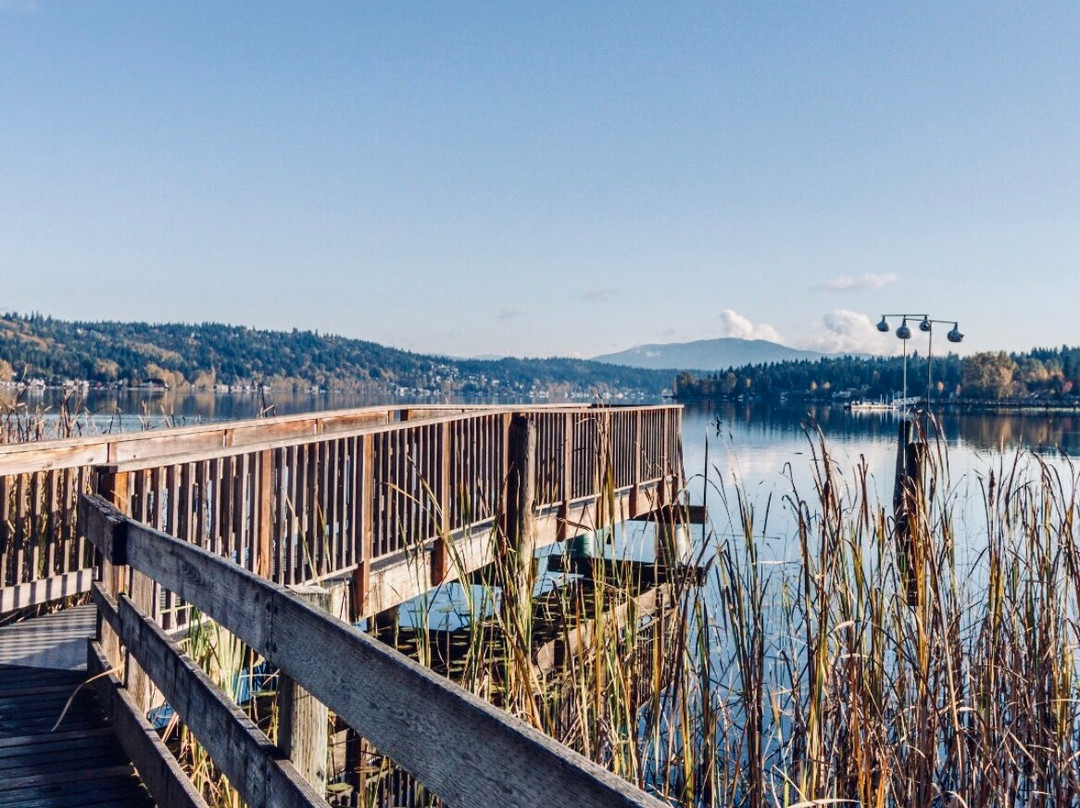 Marymoor Park-雷德蒙德必去景点