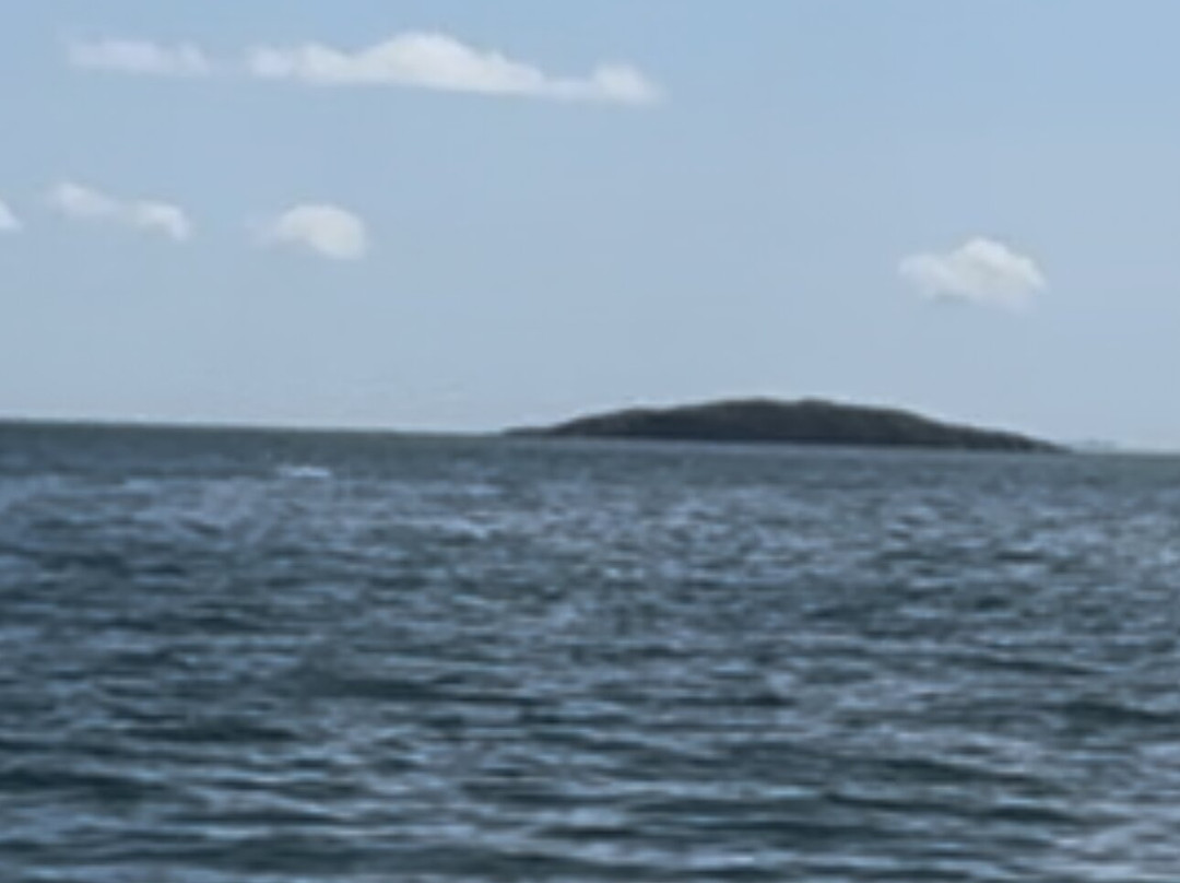 Island Quest Marine景点图片