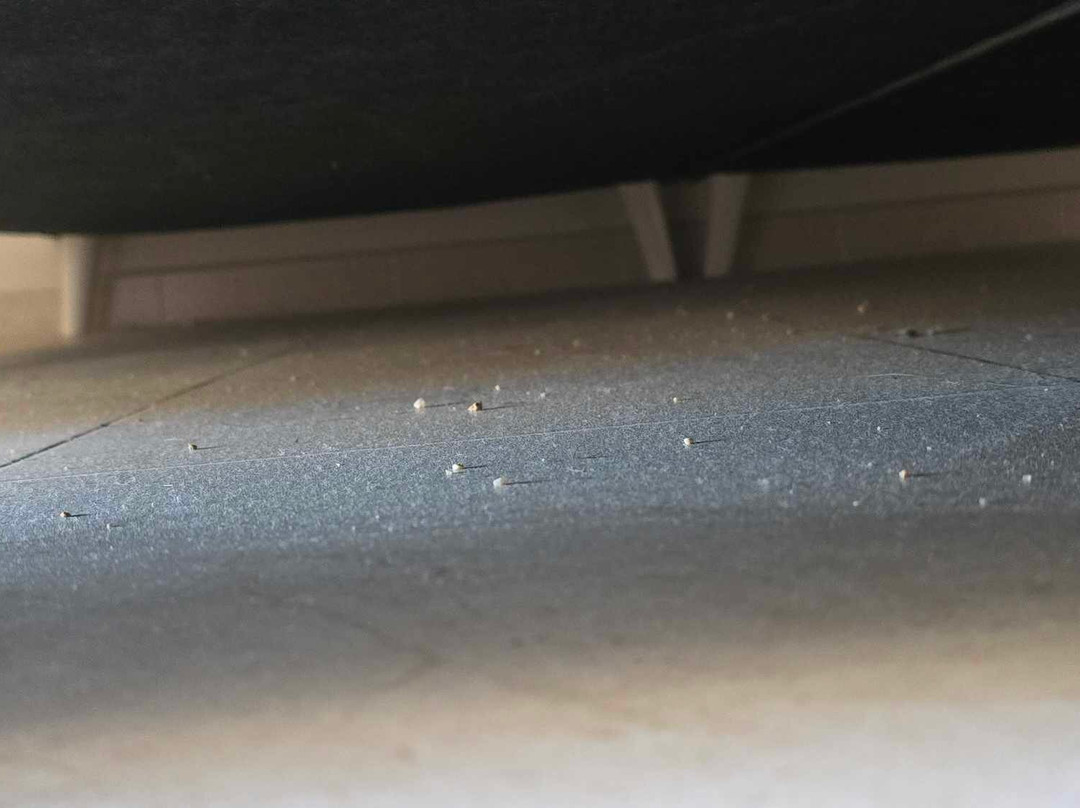 Hotel Serenity Platja D’Aro