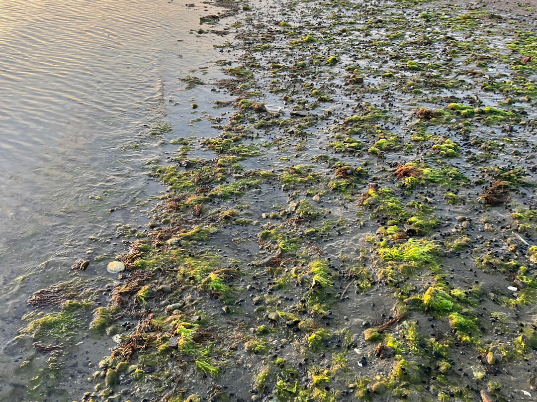 Oakland Beach-沃威克必去景点