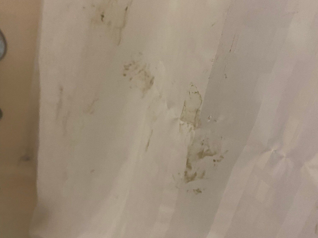 Super 8 by Wyndham Lebanon主图