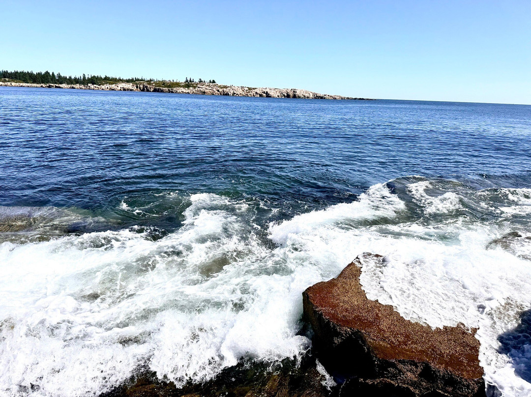 Sea Schoodic Kayak & Bike景点图片