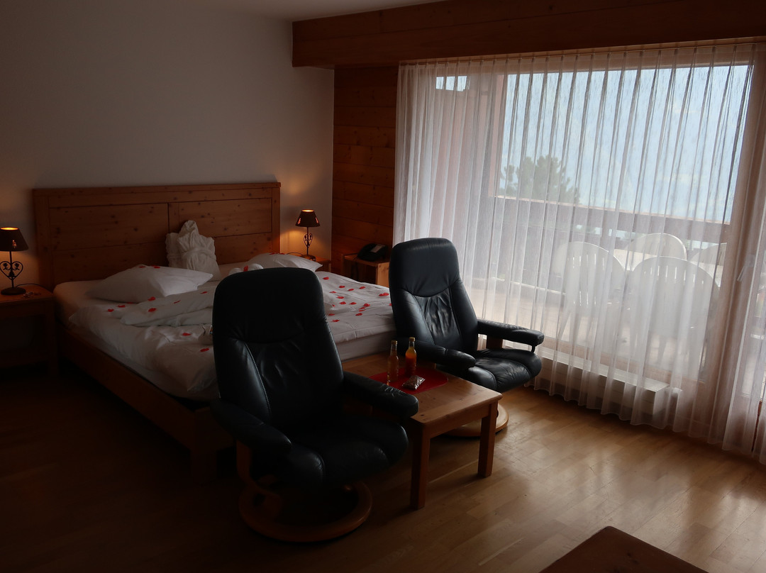 Hôtel des Bains d'Ovronnaz主图