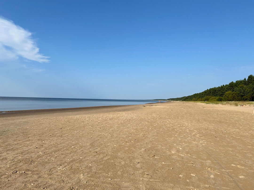 Narva-Joesuu Beach景点图片