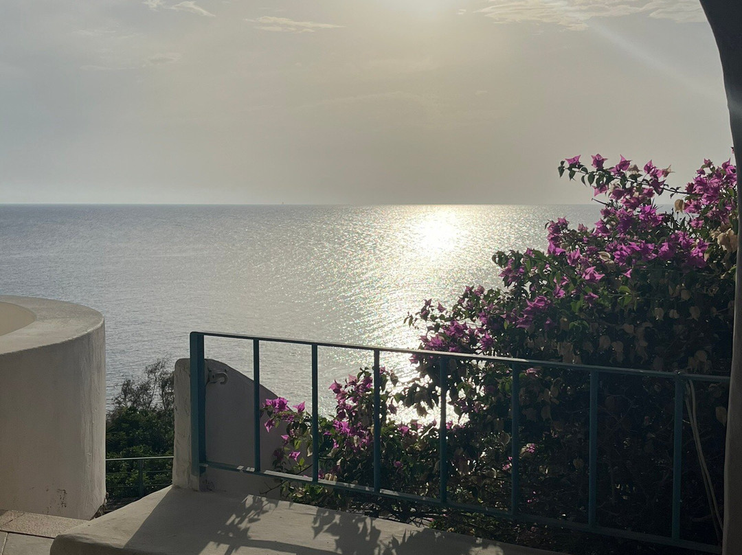 Stella Turchese主图