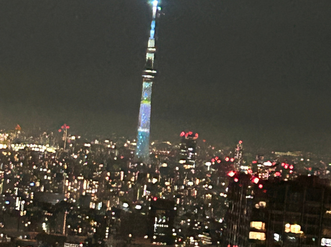 Mitsui Garden Hotel Toyosu Premier主图