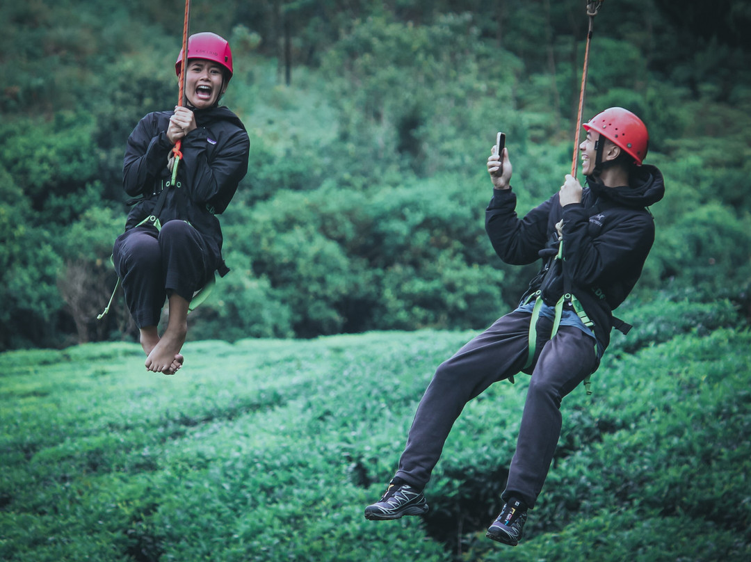 Adventron Dual Zipline-keralas Longest Dual Zipline景点图片