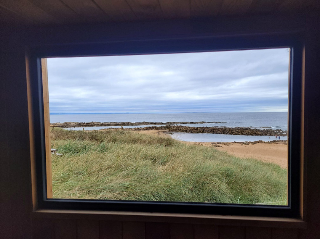 Wild Scottish Sauna景点图片