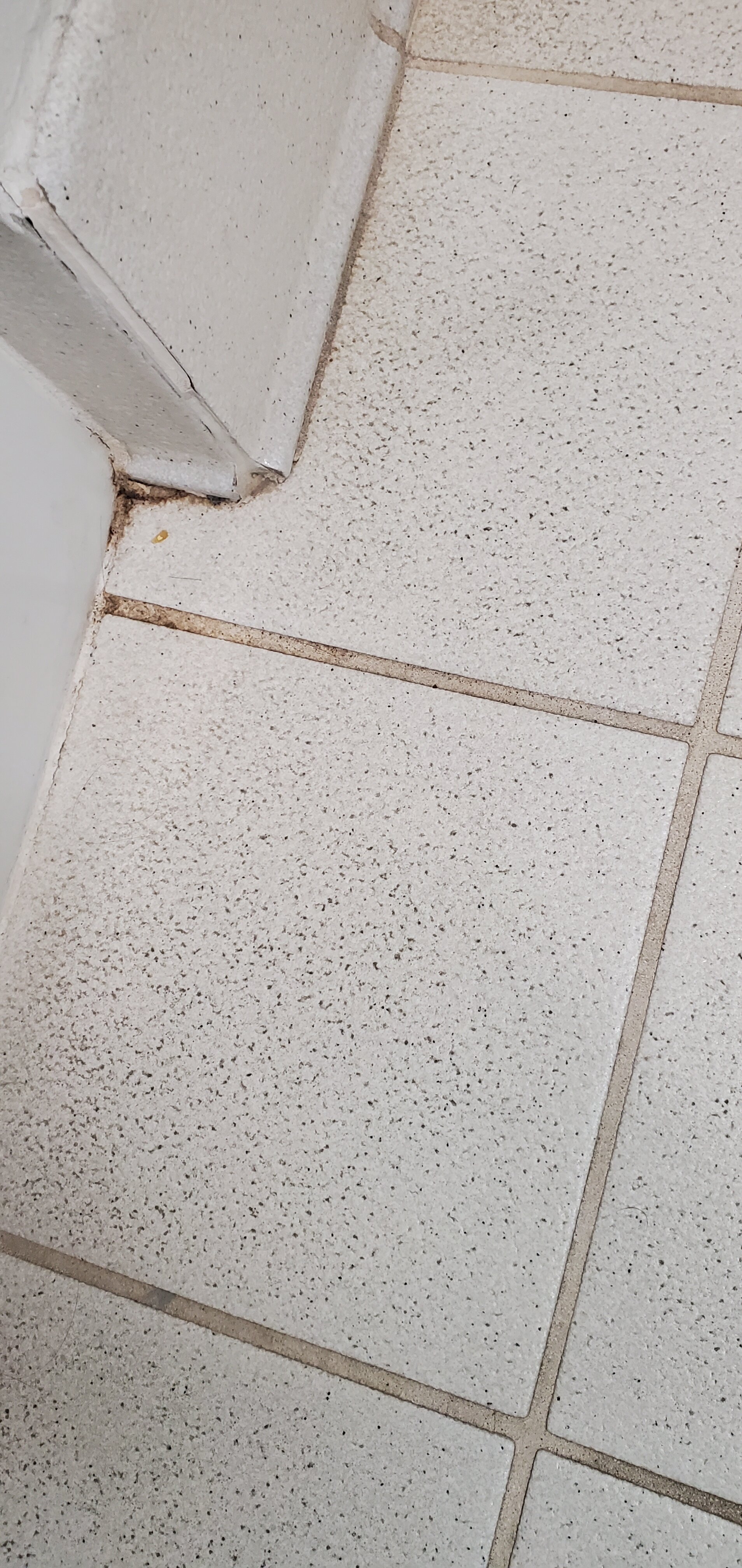 Best Western Portland West Beaverton-浴室