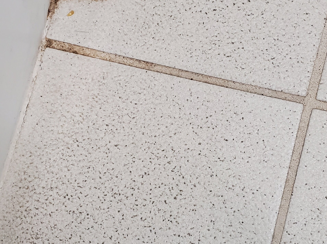 Best Western Portland West Beaverton主图