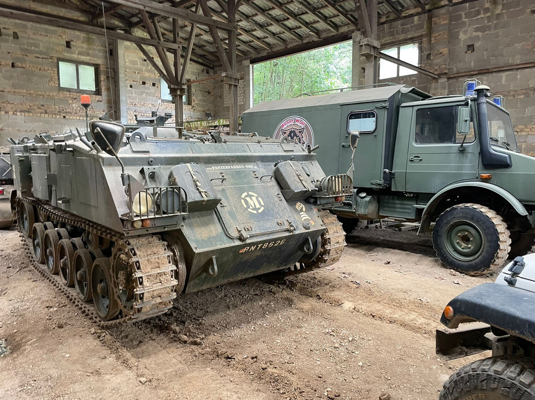 Offroad Park - Boser Wolf-Knullwald必去景点