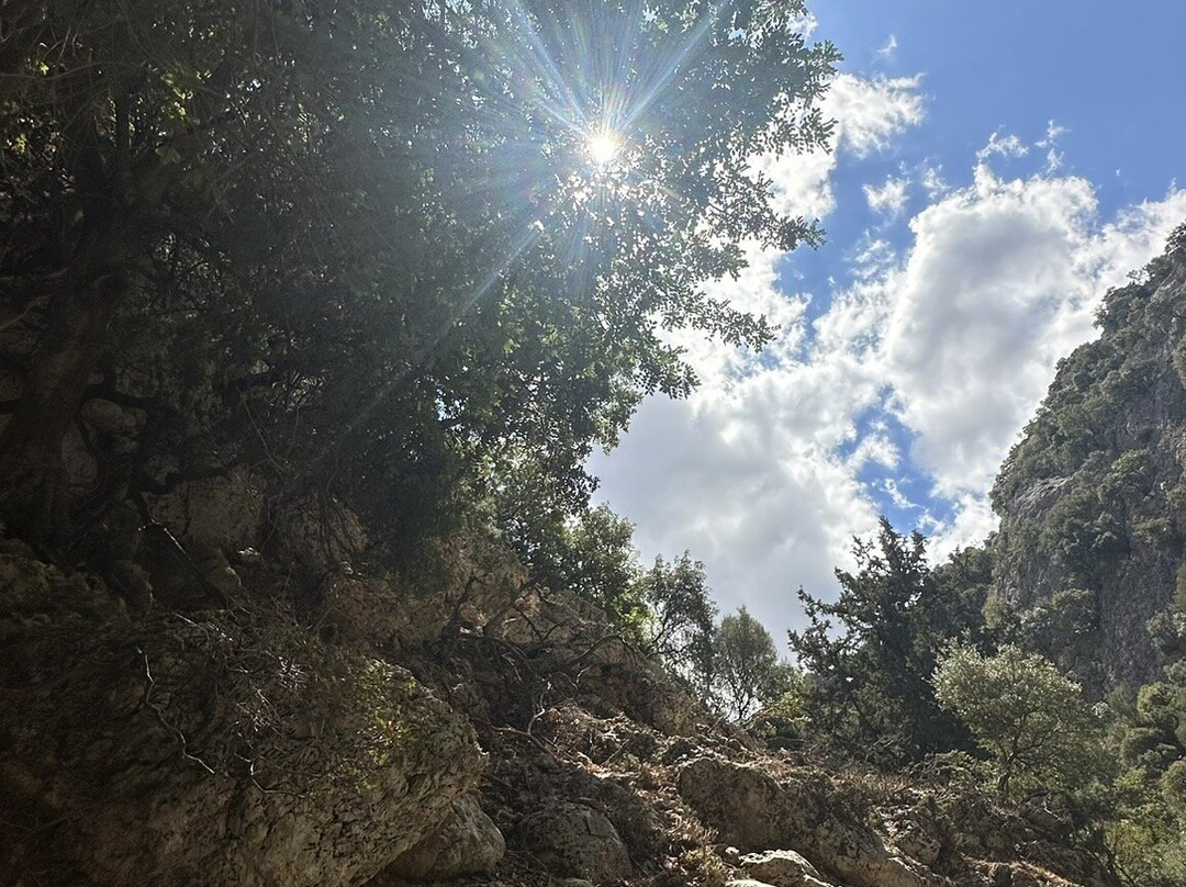 Gorges of Theriso景点图片