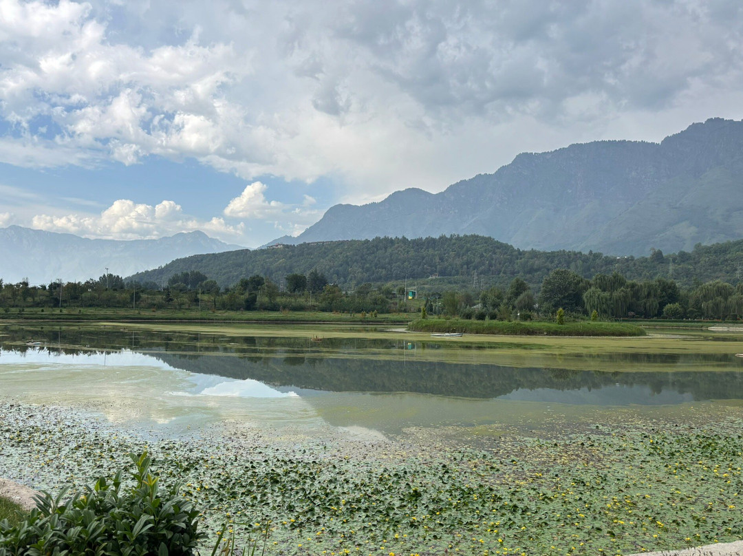 Jawaharlal Nehru Memorial Botanical Gardens-斯利那加必去景点