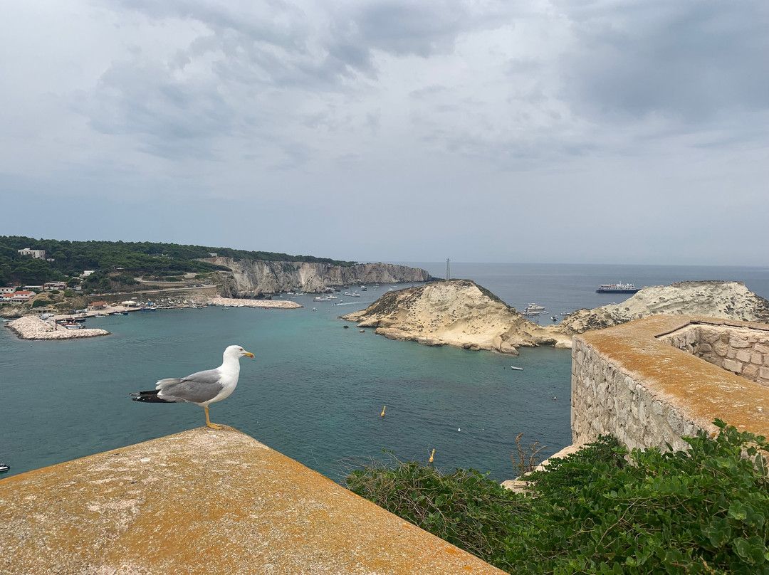 Isole Tremiti景点图片