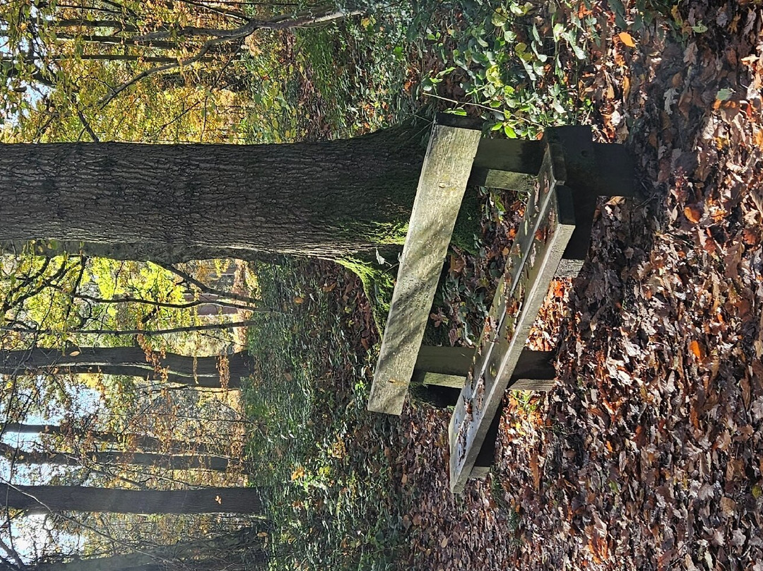 Queenswood Country Park & Arboretum-Leominster必去景点