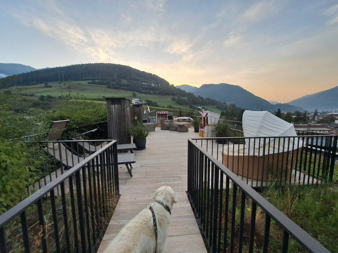 Steindl's BoutiqueHotel主图