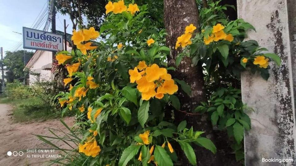 Montra Guesthouse主图