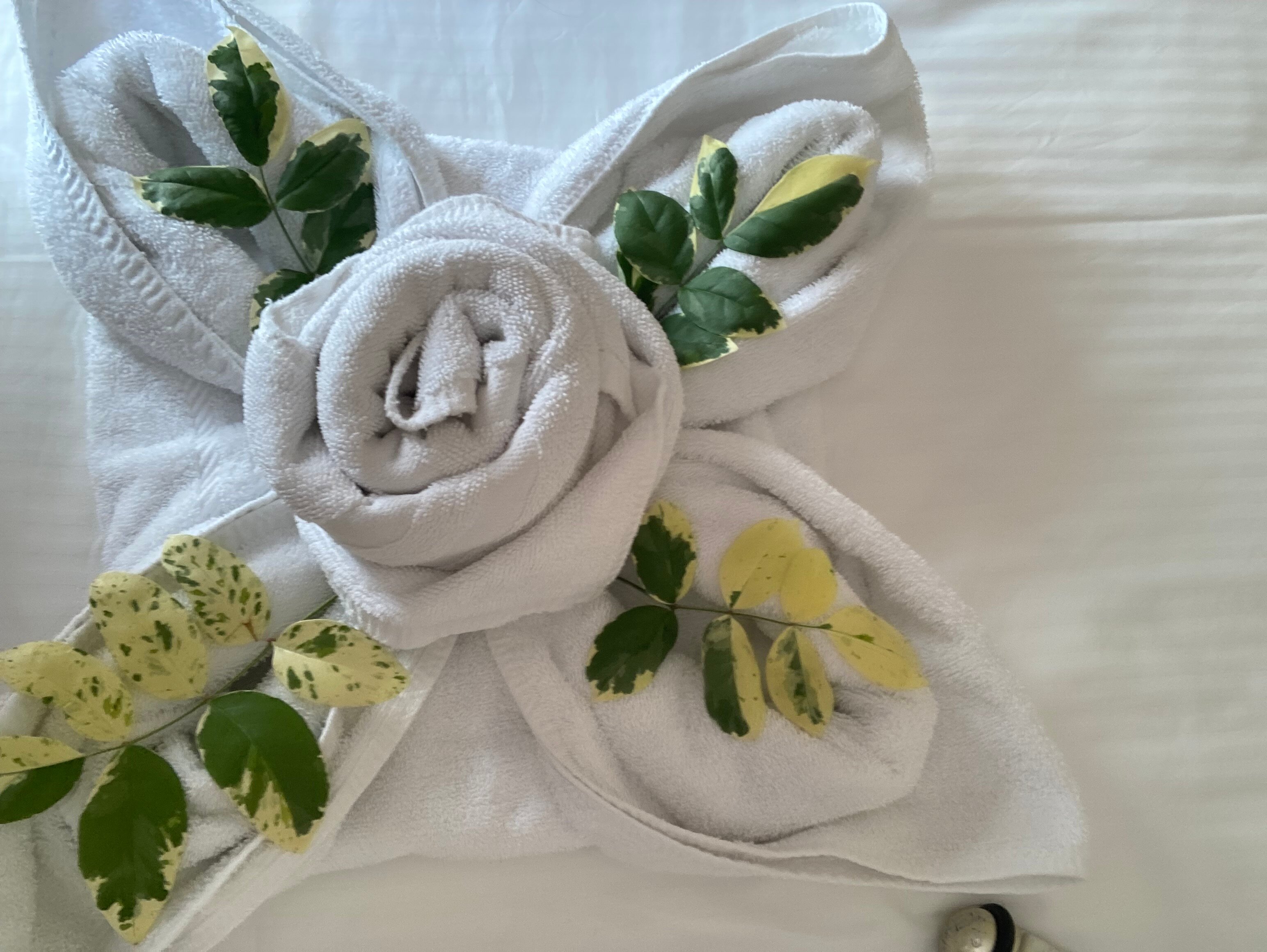 Inn & Art Hotel-官方
