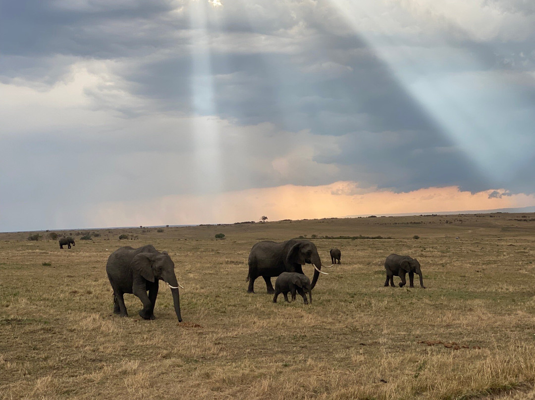 Southern Cross Safaris-温德和克必去景点
