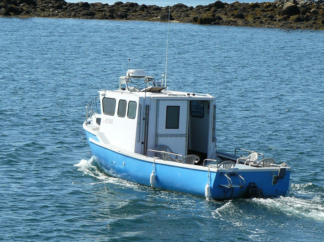 Tusket Island Tours景点图片