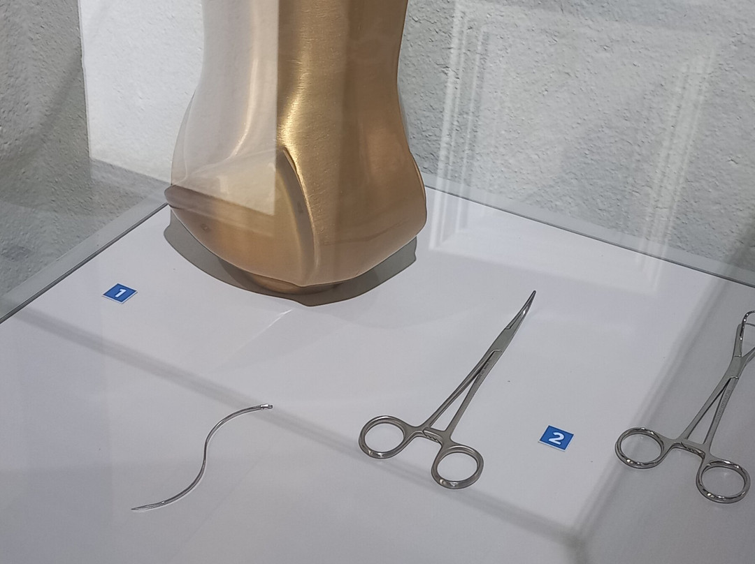 Museu Haas-Blumenau必去景点