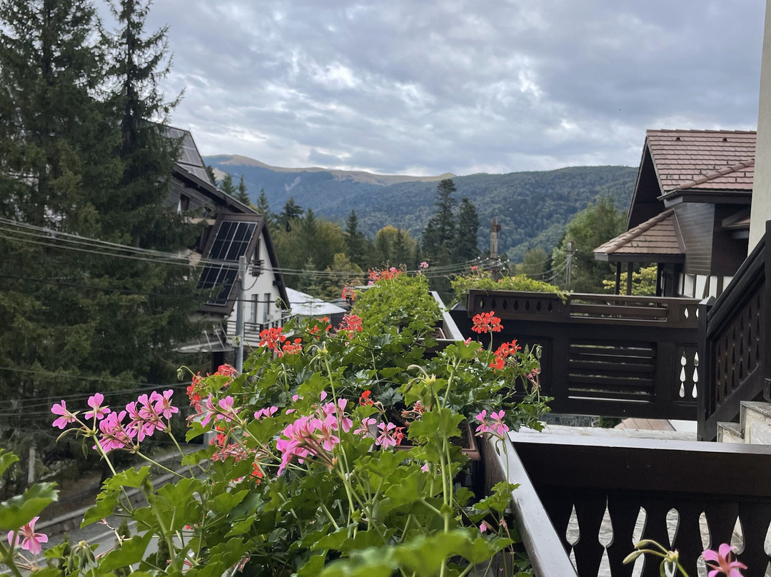 Hotel Foisorul cu Flori主图