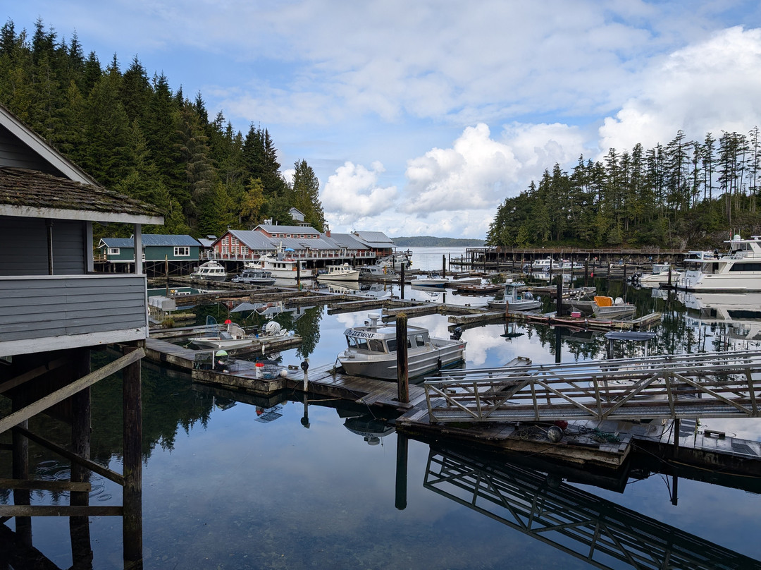 Telegraph Cove Marina & RV Park景点图片