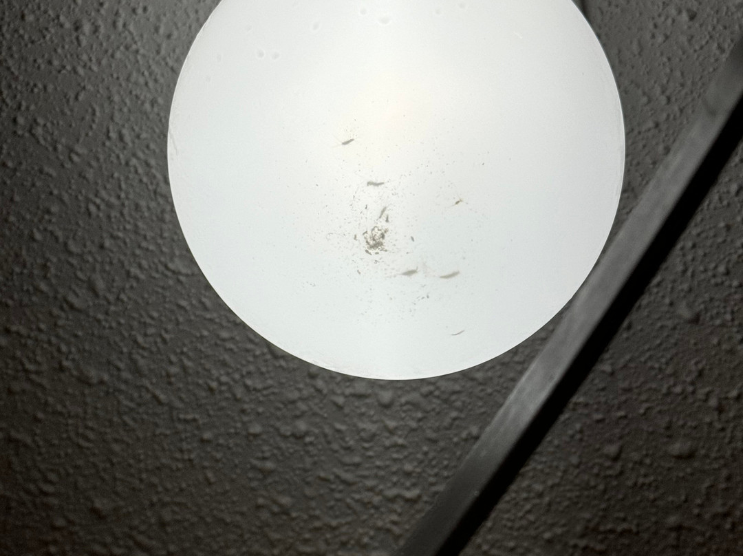 Days Inn by Wyndham Nanaimo主图