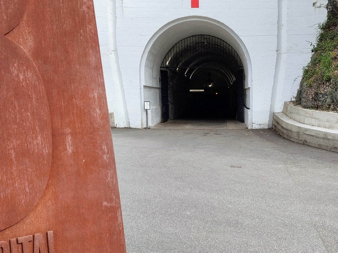 Waverley Coach Tours-St. Helier必去景点