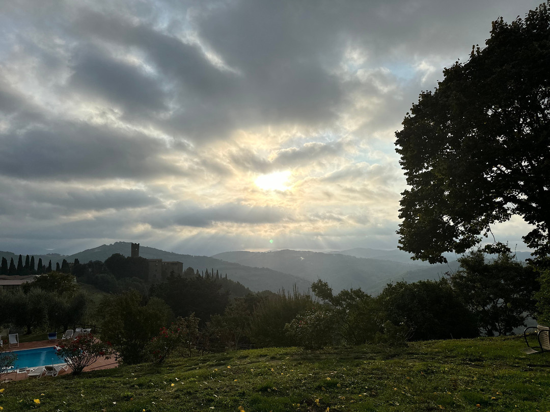 Ecologico Tours & Meravigliosa Umbria景点图片