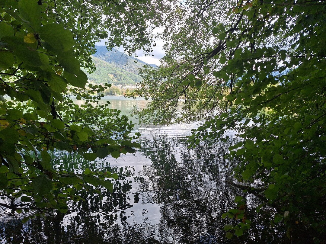 Lago DI Levico景点图片