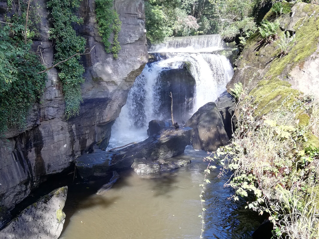 Aberdulais Tin Works & Waterfall景点图片