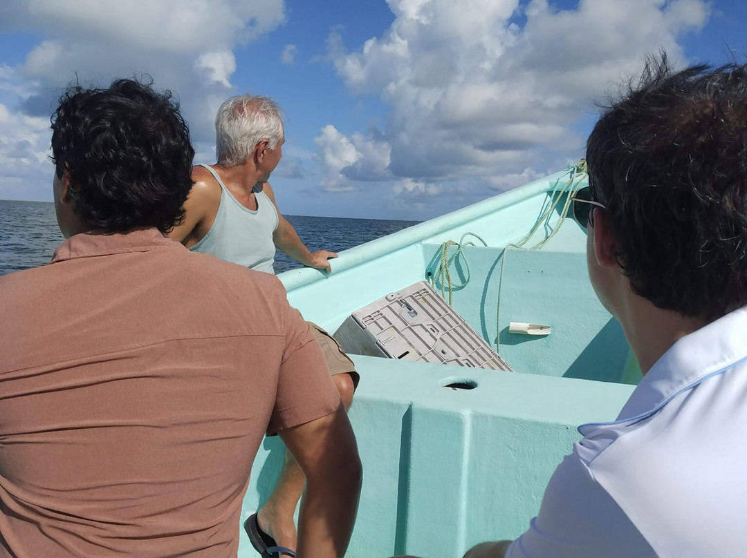 Barbuda Express-圣 约翰必去景点