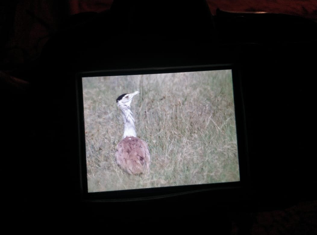 Pansari Resorts主图