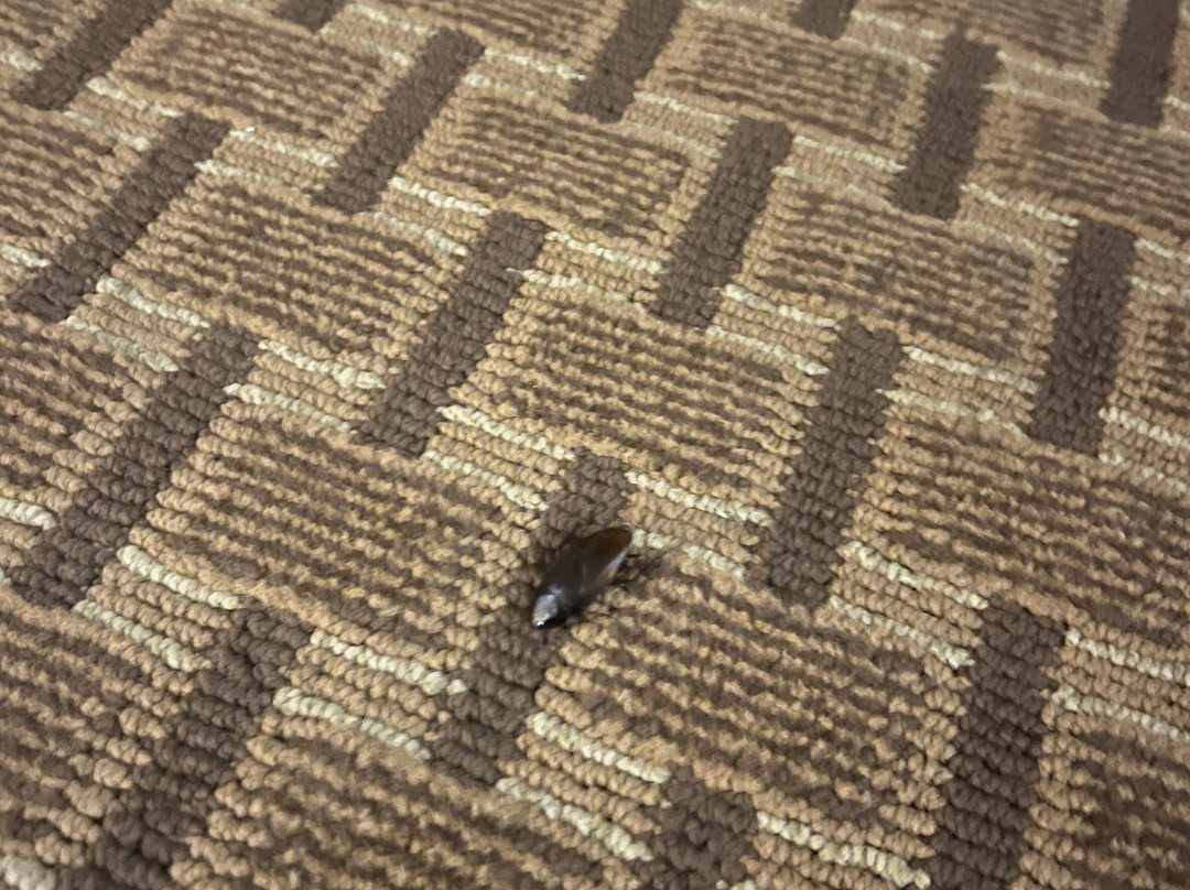 Holiday Inn Express & Suites Hazard By IHG主图